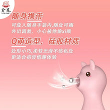 Load image into Gallery viewer, Sucking Vibrator Clitoris Stimulator